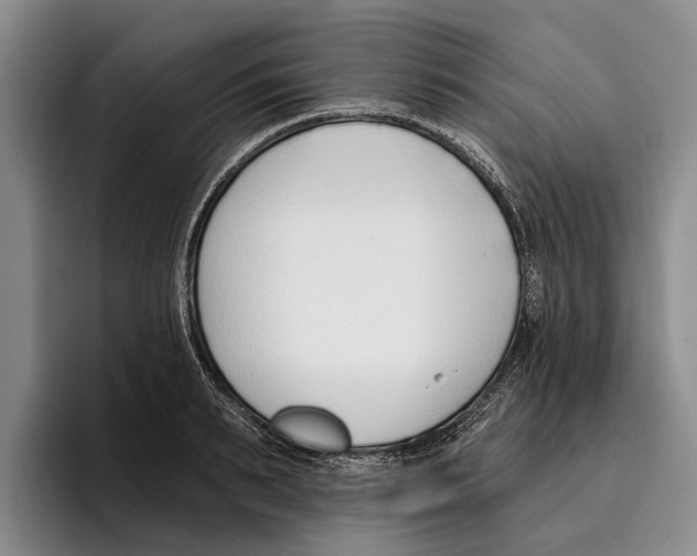 X0000096210895200802151459