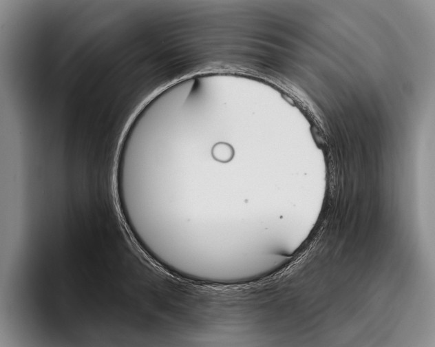 X0000096210896200802151459