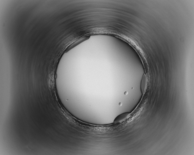 X0000096210897200802151459