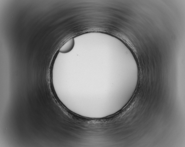 X0000096210898200802151459