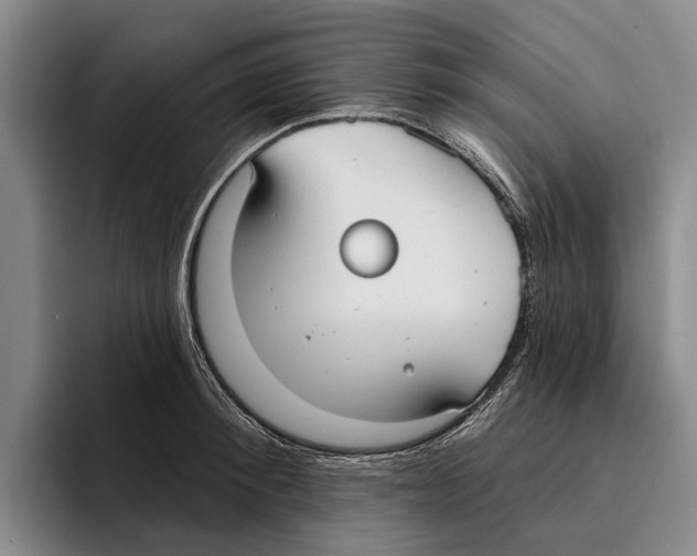 X0000096210900200802151459