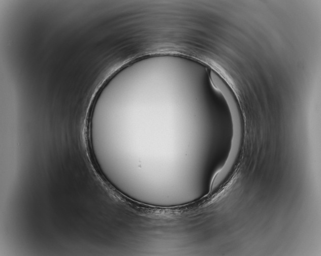 X0000096210901200802151459