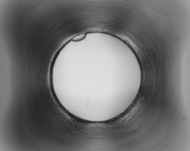 X0000096210902200802151459