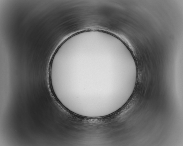 X0000096210903200802151459