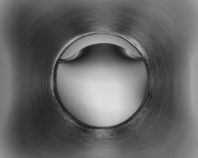 X0000096210904200802151459