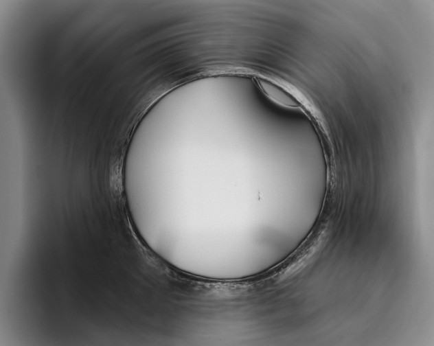 X0000096210905200802151459
