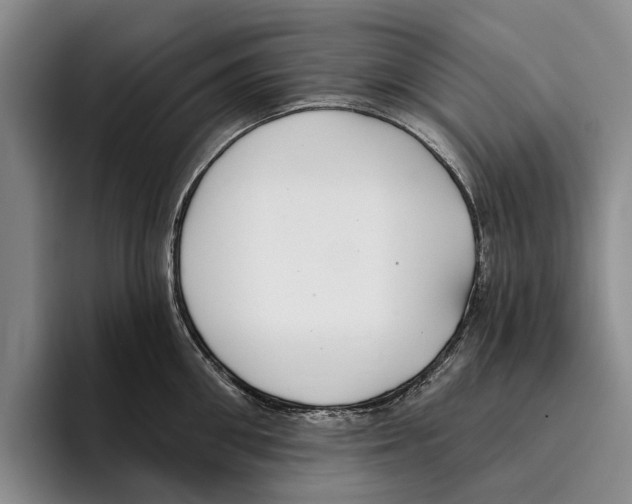 X0000096210906200802151459