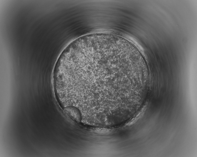 X0000096210907200802151459