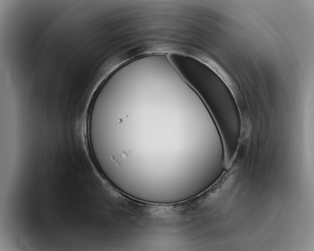 X0000096210909200802151459