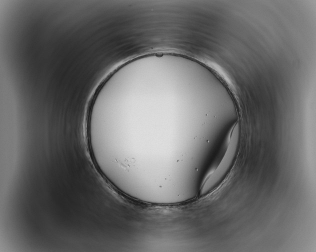 X0000096210910200802151459