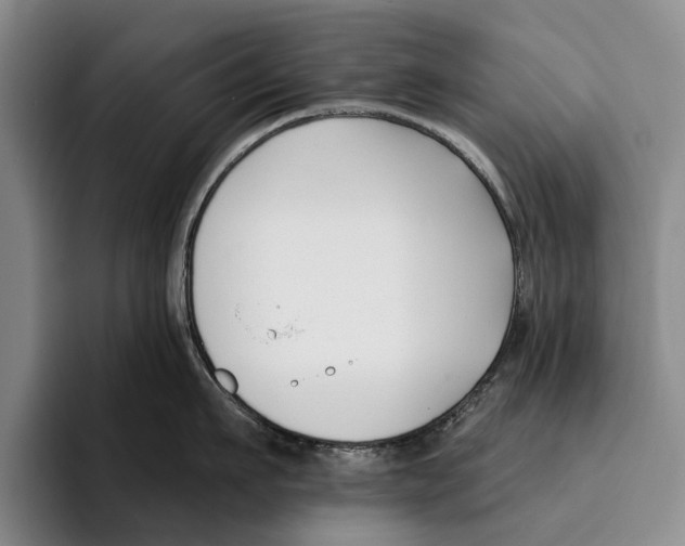 X0000096210911200802151459