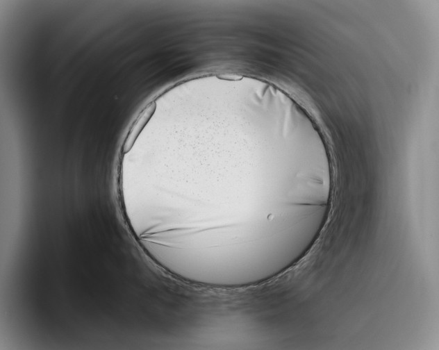X0000096210912200802151459