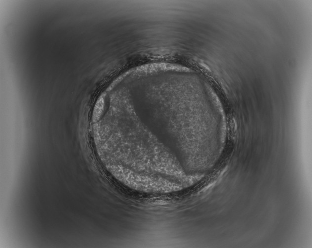 X0000096210913200802151459