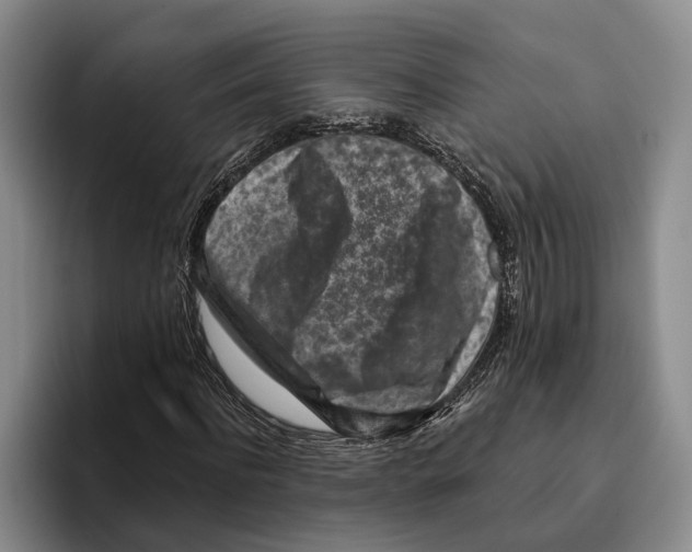 X0000096210916200802151459