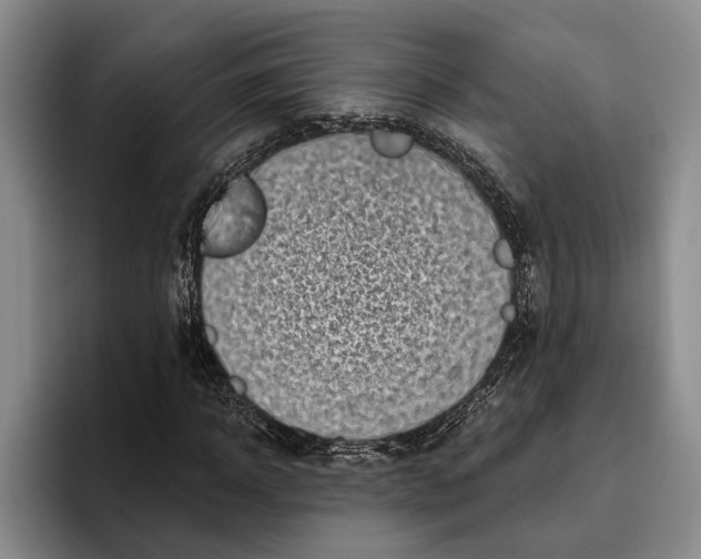 X0000096210918200802151459