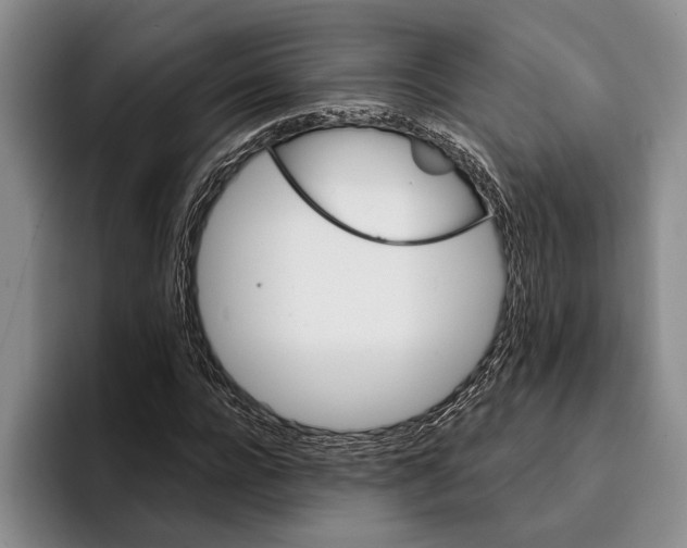 X0000096210920200802151459