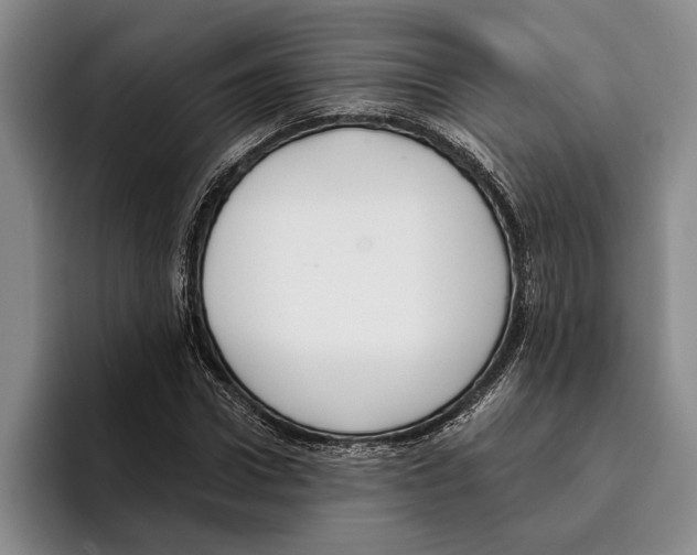 X0000096210922200802151459