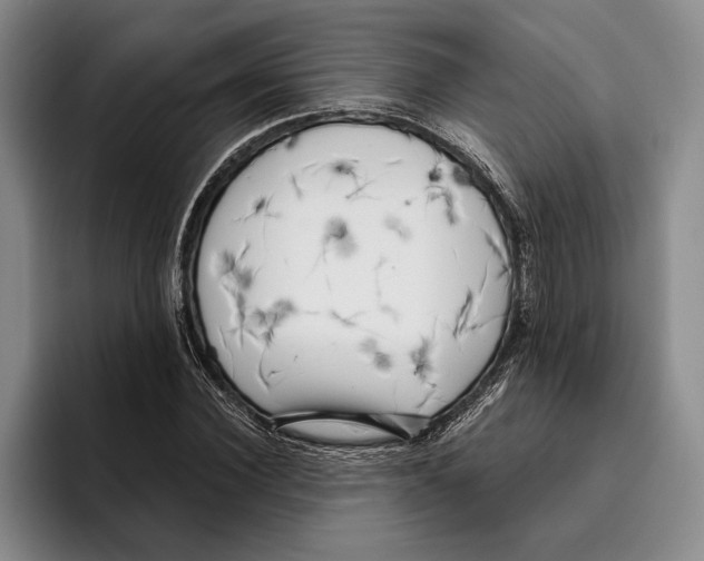 X0000096210924200802151459