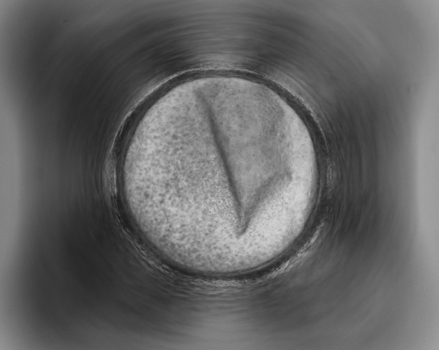 X0000096210925200802151459