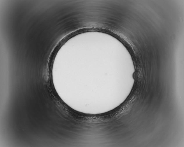 X0000096210927200802151459