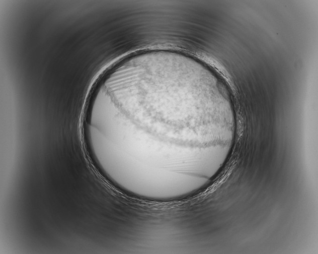 X0000096210928200802151459
