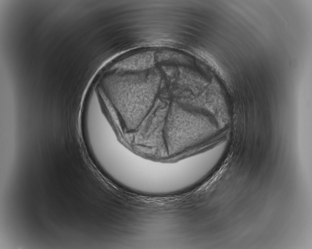 X0000096210932200802151459