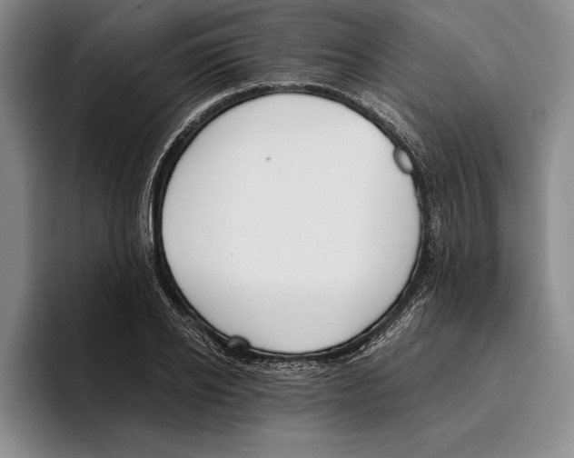 X0000096210934200802151459