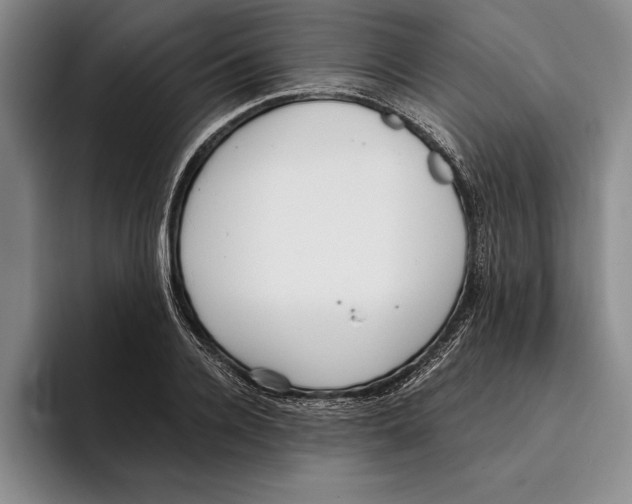 X0000096210936200802151459