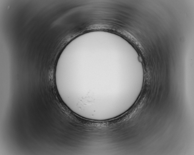 X0000096210937200802151459