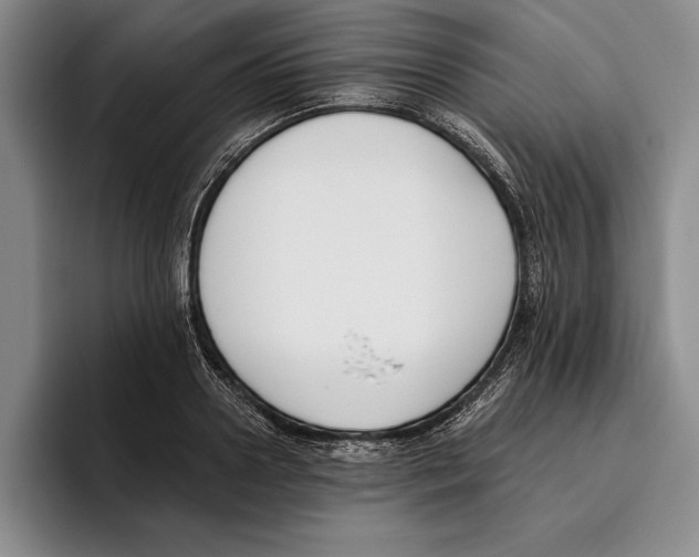 X0000096210938200802151459