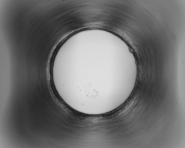 X0000096210939200802151459