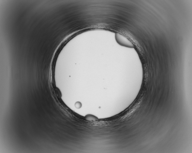 X0000096210940200802151459
