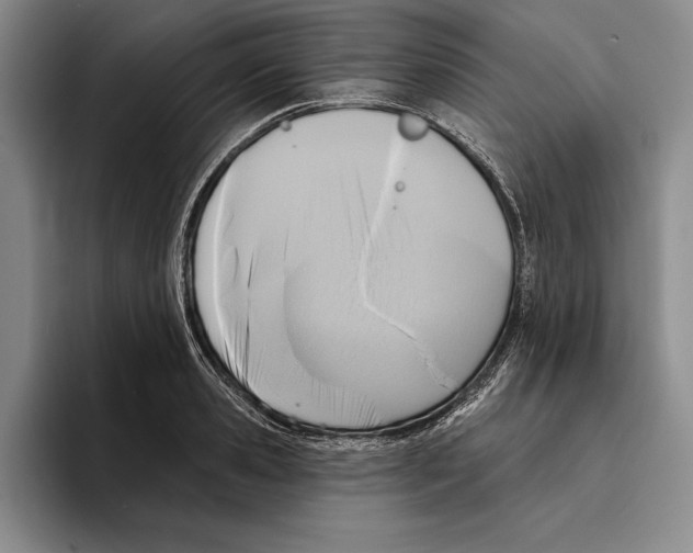 X0000096210941200802151459