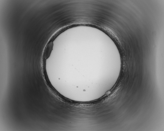 X0000096210942200802151459