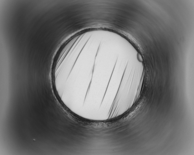 X0000096210943200802151459