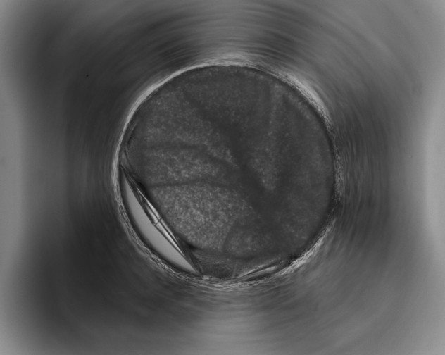 X0000096210944200802151459