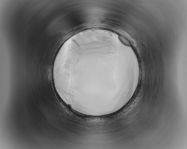 X0000096210945200802151459