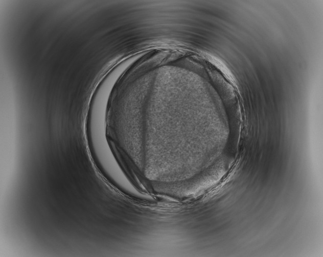 X0000096210946200802151459