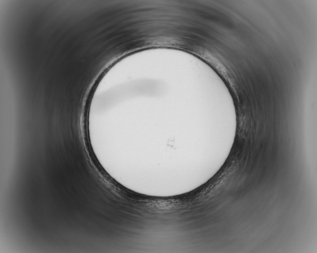 X0000096210947200802151459