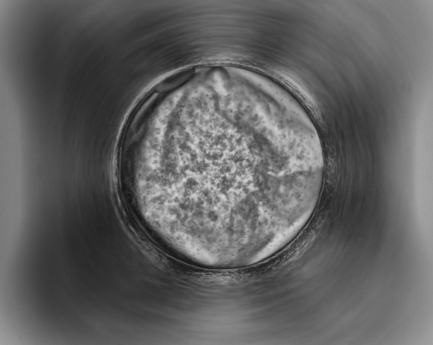 X0000096210948200802151459