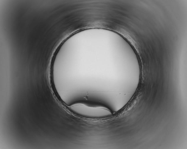 X0000096210949200802151459