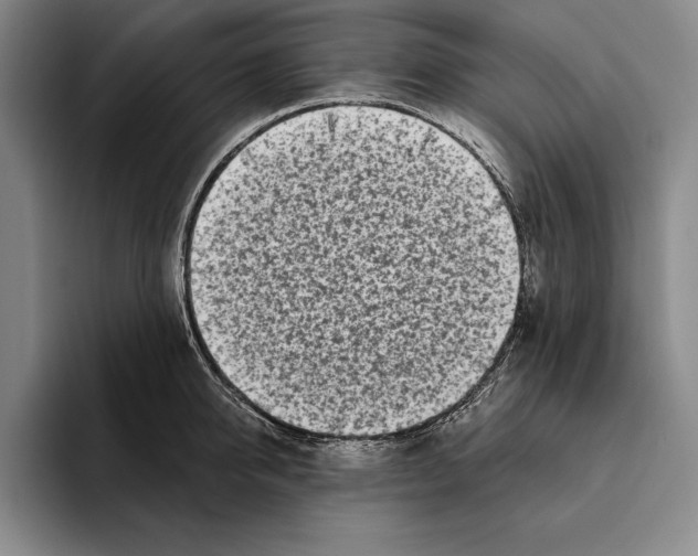 X0000096210950200802151459