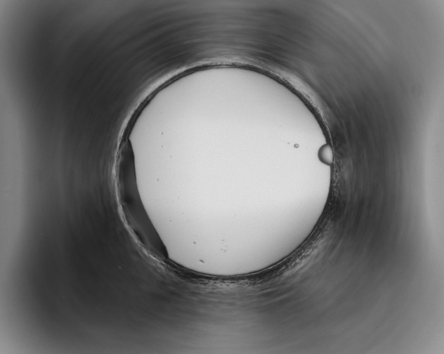 X0000096210951200802151459