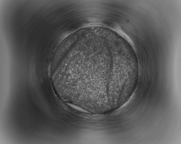 X0000096210953200802151459