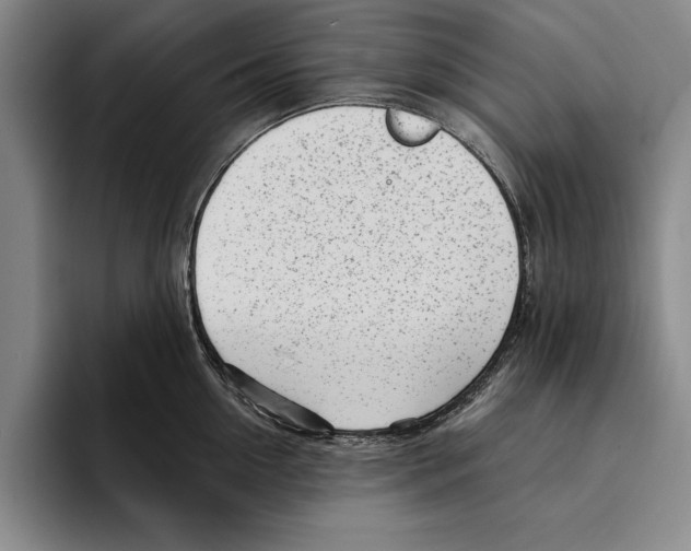 X0000096210954200802151459