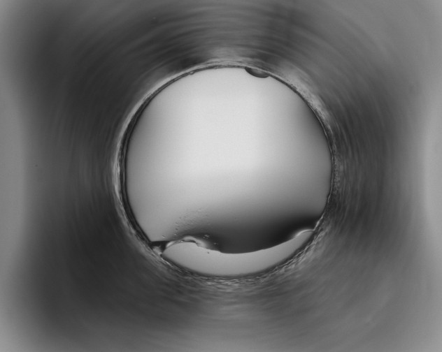 X0000096210955200802151459