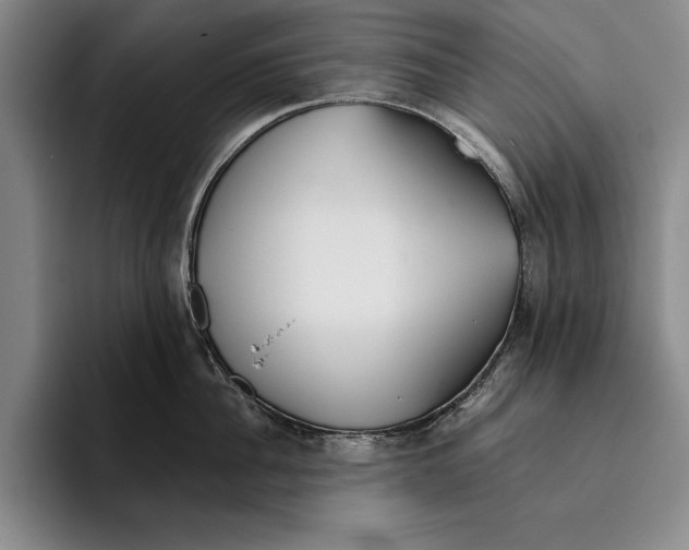 X0000096210956200802151459