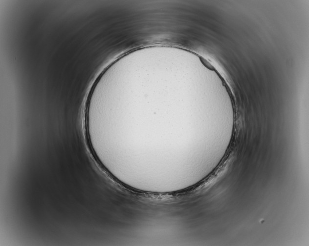 X0000096210957200802151459