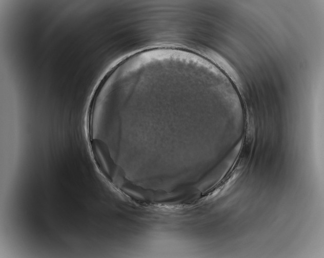 X0000096210958200802151459