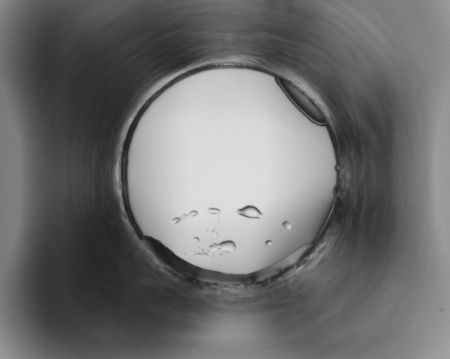 X0000096210959200802151459